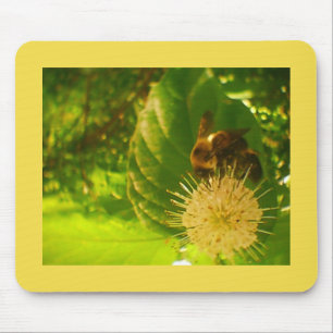Bumble Bee Mouse Pad