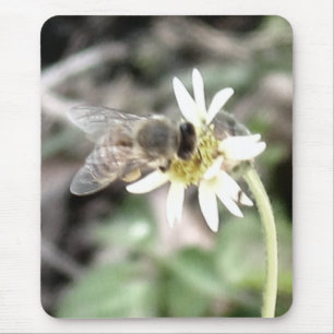 Bumble Bee Mousepad