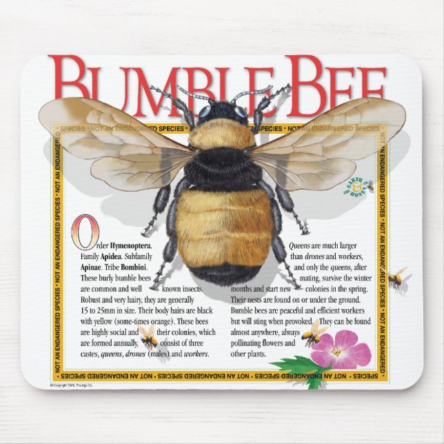 Bumble Bee Mousepad (Front)