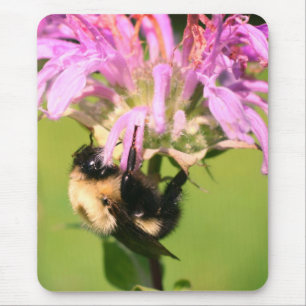 Bumble Bee On Bee Balm Flower  Mouse Pad
