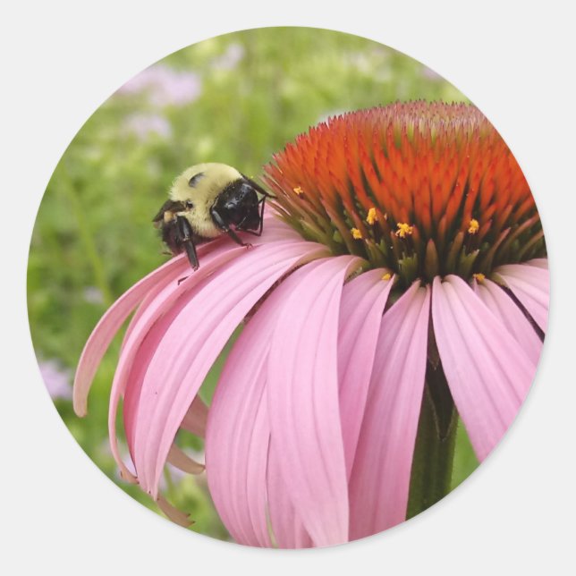 Bumble Bee on Flower Sticker (Front)