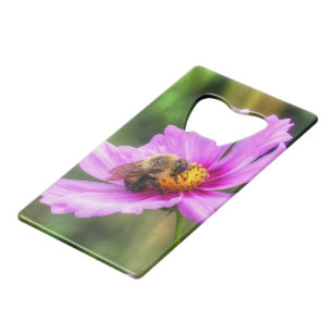 Bumble Bee on Pink Cosmos