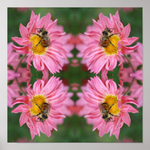Bumble Bee On Pink Daisy Flower Abstract Poster