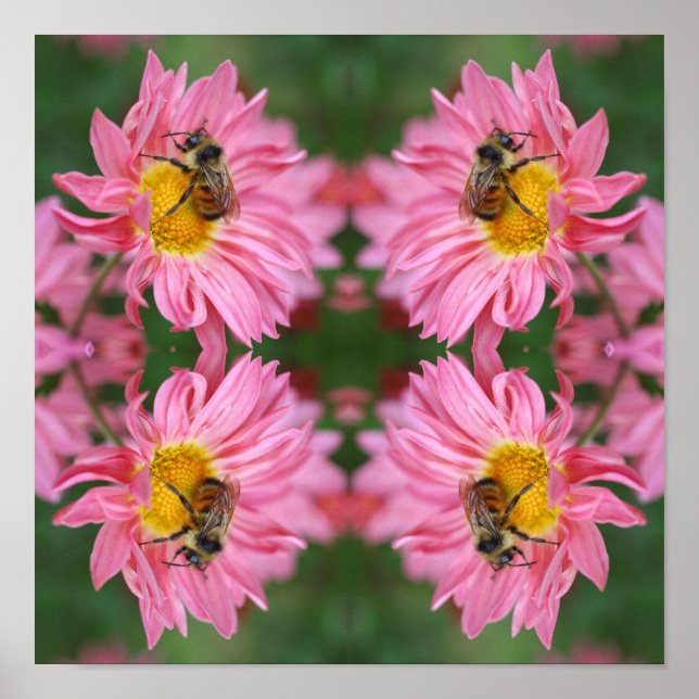 Bumble Bee On Pink Daisy Flower Abstract  Poster (Front)