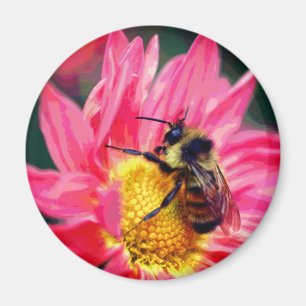 Bumble Bee On Pink Daisy Flower Art Magnet