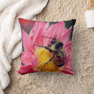 Bumble Bee On Pink Daisy Flower Close Up  Cushion