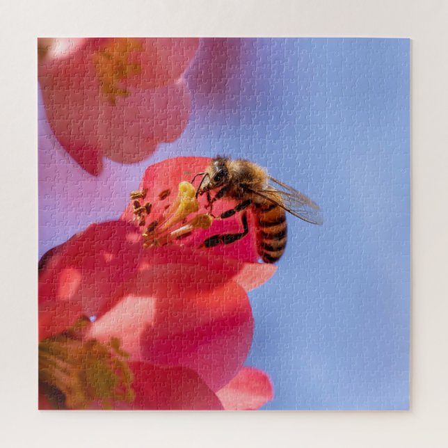 Bumble Bee on Quince Jigsaw Puzzle (Vertical)