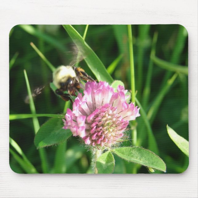 Bumble Bee on Red Clover Mouse Pad (Front)