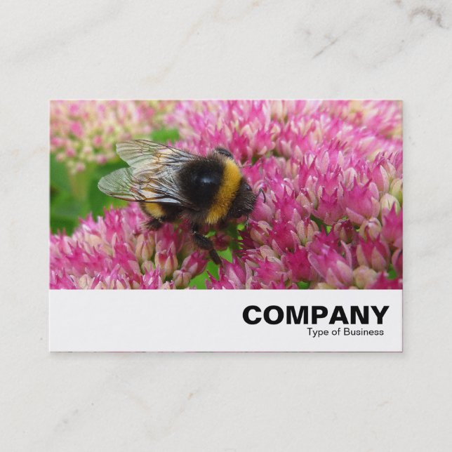 Bumble Bee on Sedum Business Card (Front)