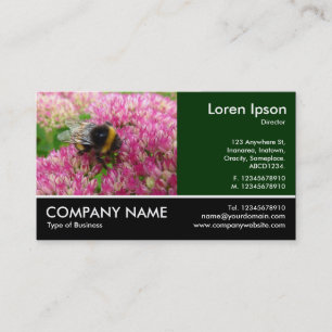 Bumble Bee on Sedum Business Card