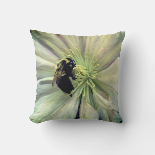 Bumble Bee On White Clematis Flower   Cushion (Front)