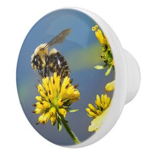 Bumble Bee on Yellow Wildflower Ceramic Knob