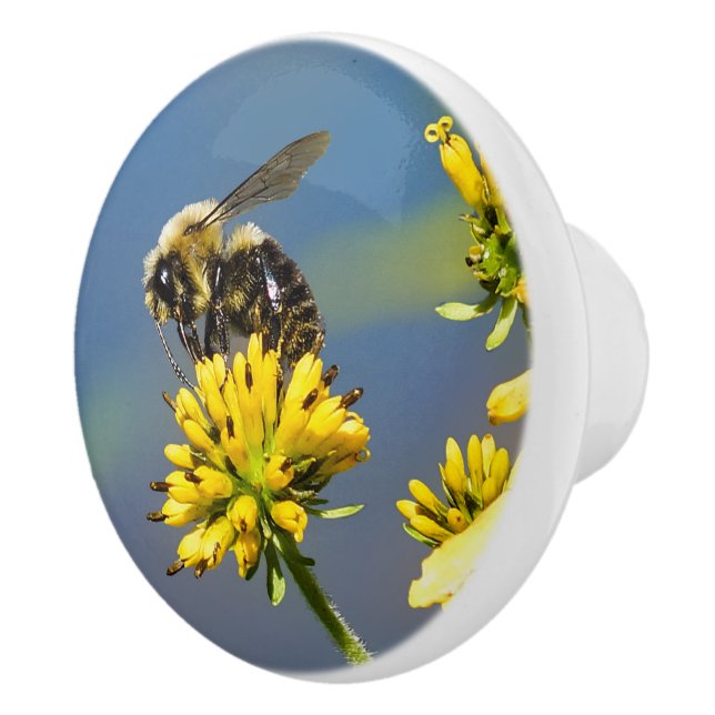 Bumble Bee on Yellow Wildflower Ceramic Knob (Right)