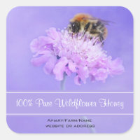 Bumble Bee Perched on a Pink Flower Honey