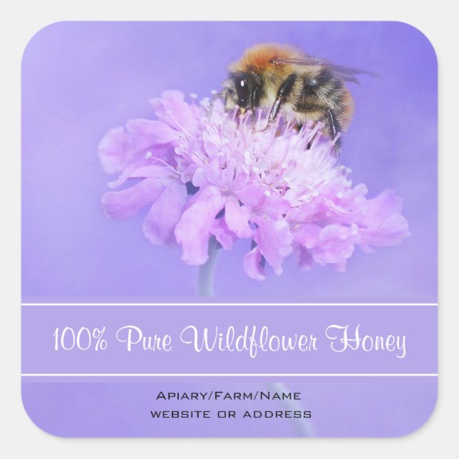 Bumble Bee Perched on a Pink Flower Honey Square Sticker (Front)