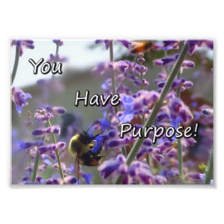 Bumble Bee Photo- You Have Purpose Photo Print