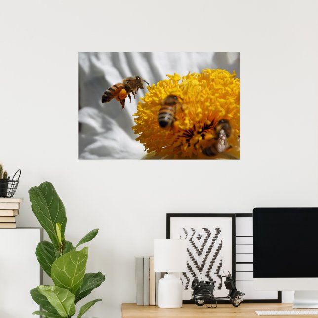 Bumble Bee pollen poster (Home Office)