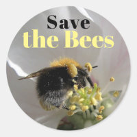 Bumble Bee Save the Bees
