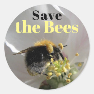 Bumble Bee Save the Bees Classic Round Sticker