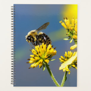 Bumble Bee Spiral Weekly/Monthly Planner