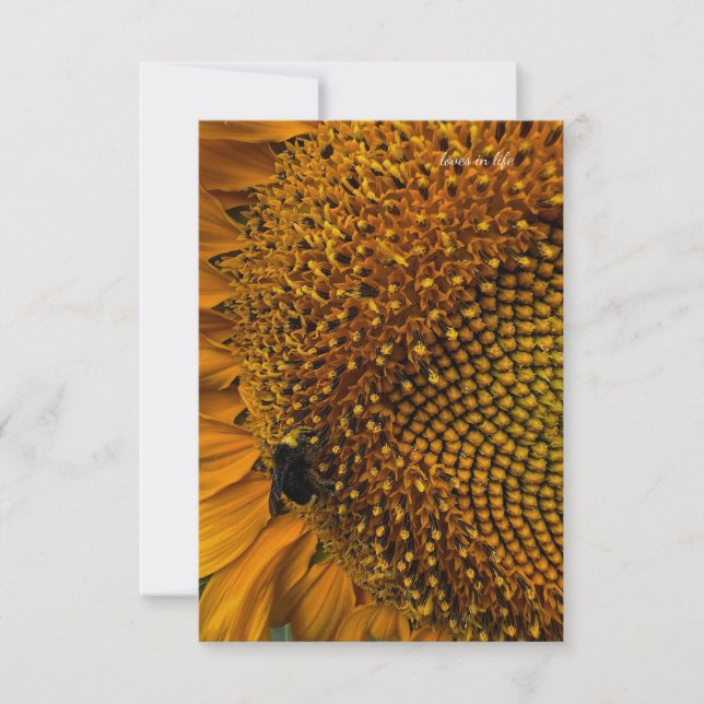 Bumble Bee & Sunflower Card (Front)