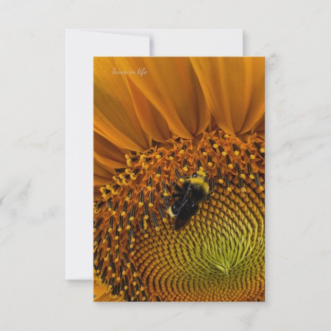 Bumble Bee & Sunflower Card (Front)