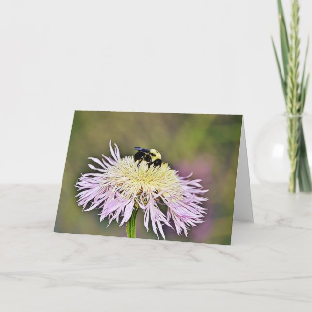 Bumble Bee Wildflower Scripture Card John 1:16 (Front)