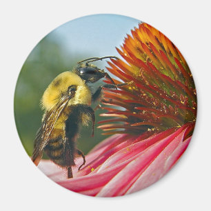 Bumble Bee With Sky Heart Magnet