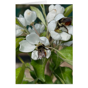Bumble Bees & Blossoms - 5" x 7" Art Card