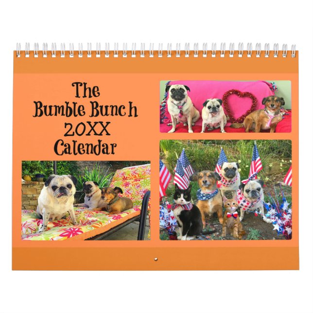 Bumble Bunch 2019 Calendar (Cover)