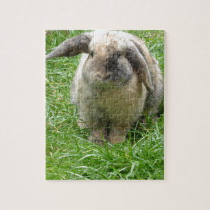 Bumble Rabbit Jigsaw Puzzle