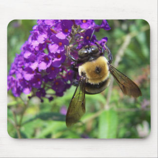 BumbleBee01 Mouse Pad