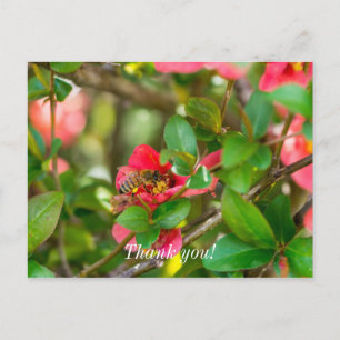 Bumblebee And Azalea Thank You Postcard