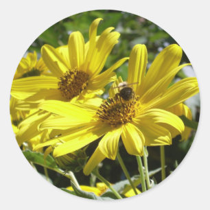 Bumblebee and the Sunflower Classic Round Sticker