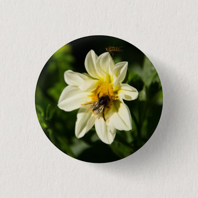 Bumblebee and white dahlia photo 3 cm round badge (Front)