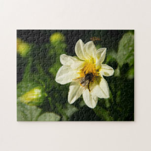 Bumblebee and white dahlia photo jigsaw puzzle