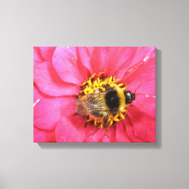 Bumblebee Canvas Print (Front)