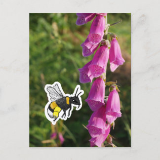 Bumblebee (color) postcard