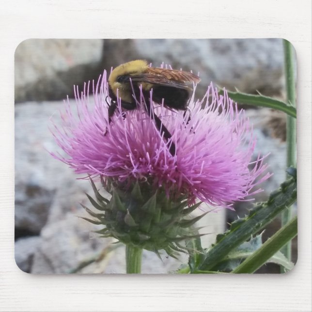 Bumblebee Harvesting a Purple Thristle Flower Mouse Pad (Front)