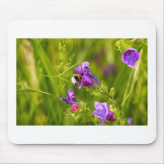 Bumblebee in Bloom Mouse Pad