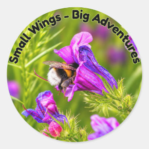 Bumblebee in Bloom - Nature and Insect Photography Classic Round Sticker