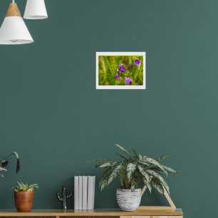 Bumblebee in Bloom - Nature and Insect Photography Poster
