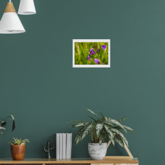 Bumblebee in Bloom Poster