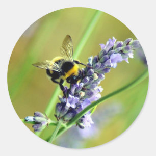 Bumblebee & Lavender Classic Round Sticker