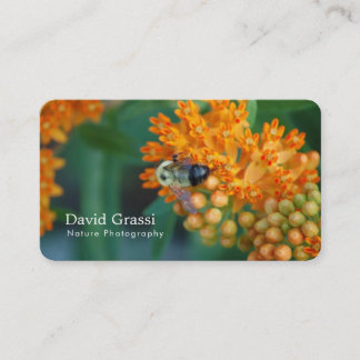Bumblebee (Nature) Photographer Business Card