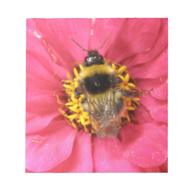Bumblebee Notepad (Front)