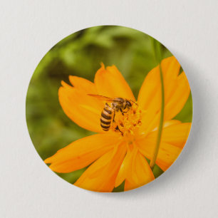 Bumblebee on a Sulphur Cosmos 7.5 Cm Round Badge