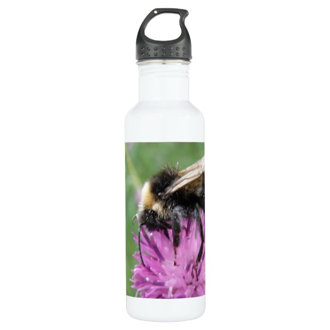 Bumblebee on a Thistle 710 Ml Water Bottle (Front)