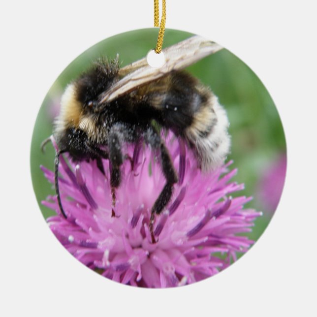Bumblebee on a Thistle Custom Birthday Ceramic Ornament (Front)