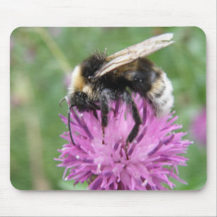 Bumblebee on a Thistle Mousepad